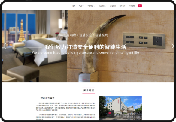 官網(wǎng)建設(shè)